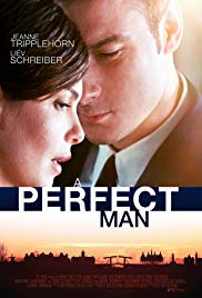 Watch Free A Perfect Man (2013)