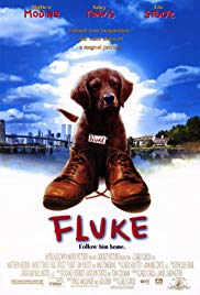 Watch Free Fluke (1995)
