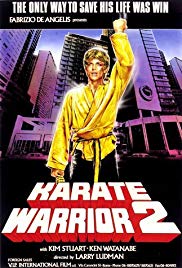 Watch Free Karate Warrior 2 (1988)