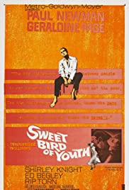 Watch Free Sweet Bird of Youth (1962)