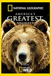 Watch Free Americas Greatest Animals (2012)