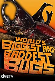 Watch Free Worlds Biggest and Baddest Bugs (2009)