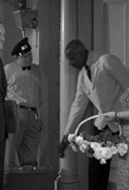 Watch Full Movie :The Rose Garden (1956)