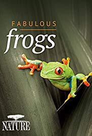 Watch Free Fabulous Frogs (2014)