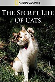 Watch Free The Secret Life of Cats (2014)