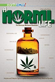 Watch Free A Norml Life (2011)