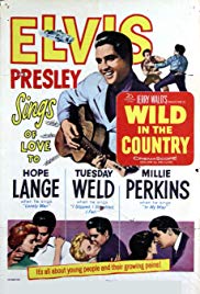 Watch Free Wild in the Country (1961)