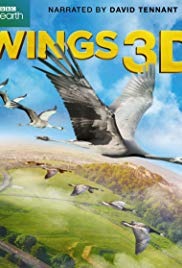 Watch Free Wings (2014)