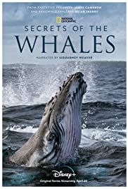 Watch Free Secrets of the Whales (2021)