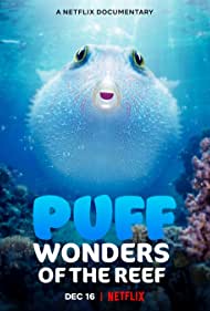 Watch Free Puff Wonders of the Reef (2021)