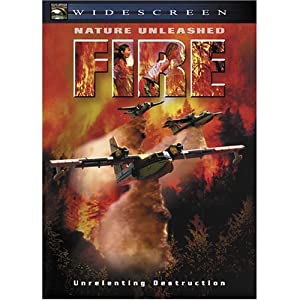 Watch Free Fire (2004)