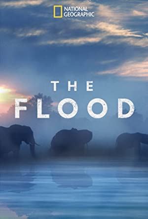 Watch Free The Flood (2018)