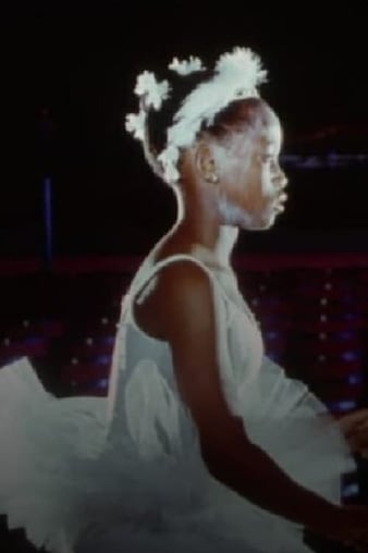 Watch Full Movie :Flight of the Swan (1992)
