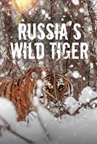 Watch Free Russias Wild Tiger (2022)