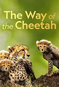 Watch Free The Way of the Cheetah (2022)