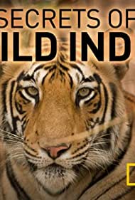 Watch Full Movie :Secrets of Wild India (2012-)