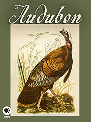 Watch Full Movie :Audubon (2017)