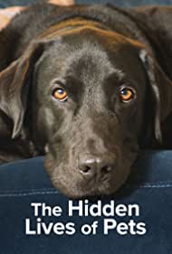 Watch Full Movie :The Hidden Lives of Pets (2022)