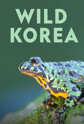 Watch Free Wild Korea 2022
