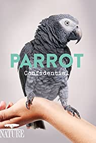 Watch Free Parrot Confidential (2013)