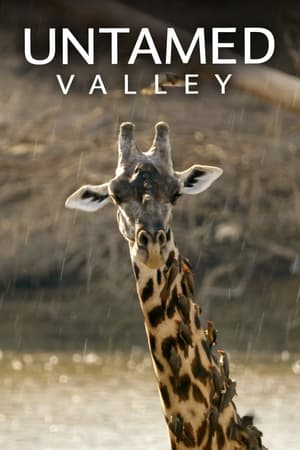 Watch Free Untamed Valley (2017-)
