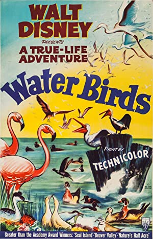 Watch Free Water Birds (1952)