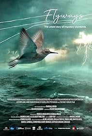 Watch Free Flyways the untold journey of migratory shorebirds (2023)