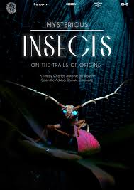 Watch Full Movie :Mysterious Origins of Insects (2024)