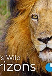 Watch Free Africas Wild Horizons (2015 2016)