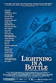 Watch Free Lightning in a Bottle (2004)
