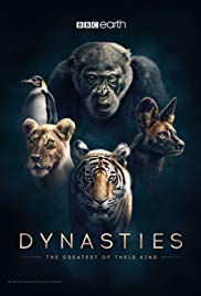 Watch Free Dynasties (2018 )