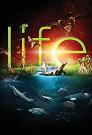 Watch Free Life (2009)