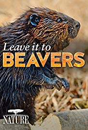 Watch Free Leave It to Beavers (2014)