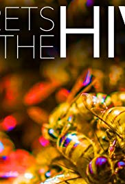 Watch Free Secrets of the Hive (2015)